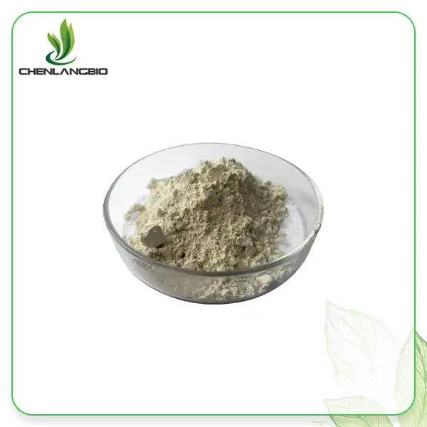 White Kidney Bean Extract Powder White Kidney Bean Extract Powder